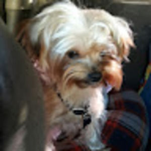 Meet your Posher, Erick